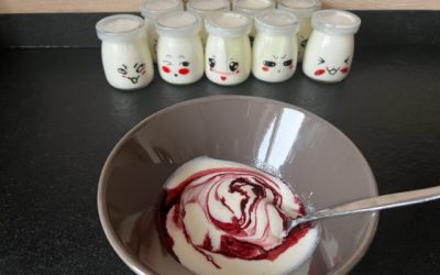 Joghurt selbst gemacht